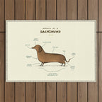 Anatomy of a Dachshund Outdoor Rug Gallery Image 1