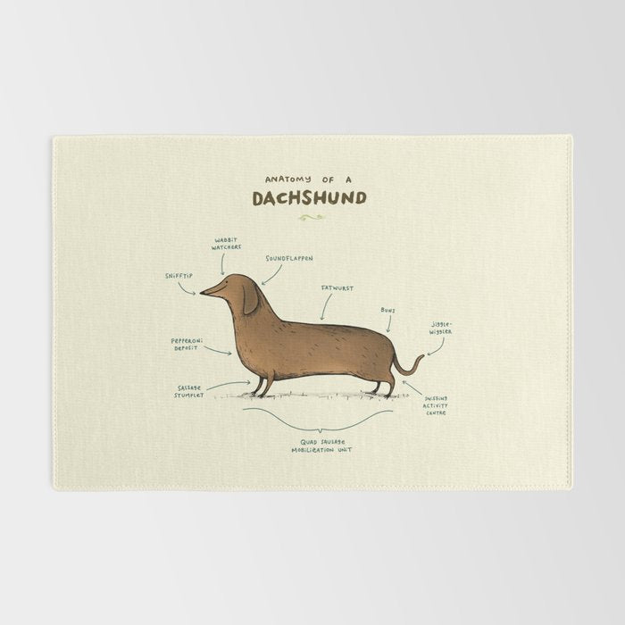 Anatomy of a Dachshund Rug Gallery Image 2