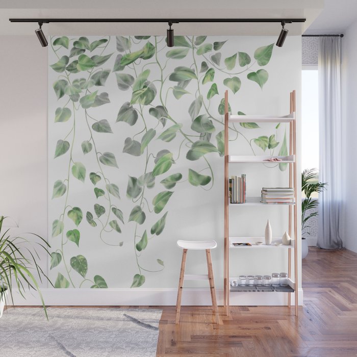 Golden Pothos - Ivy Wall Mural Gallery Image 1