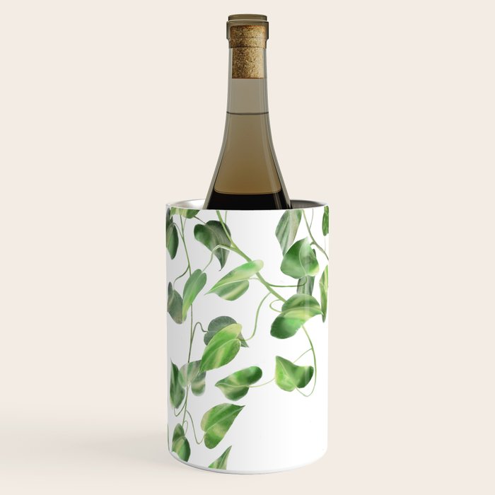 Golden Pothos - Ivy Wine Chiller Gallery Image 1