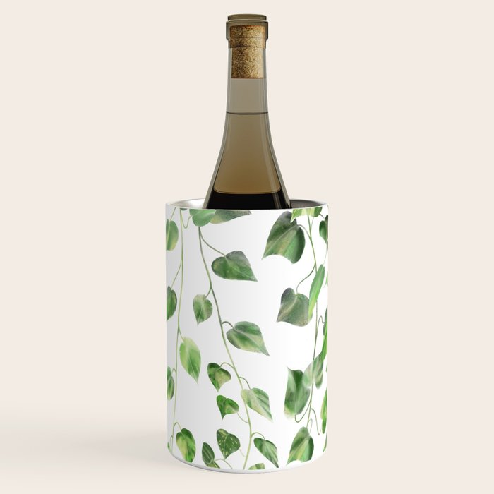 Golden Pothos - Ivy Wine Chiller Gallery Image 2