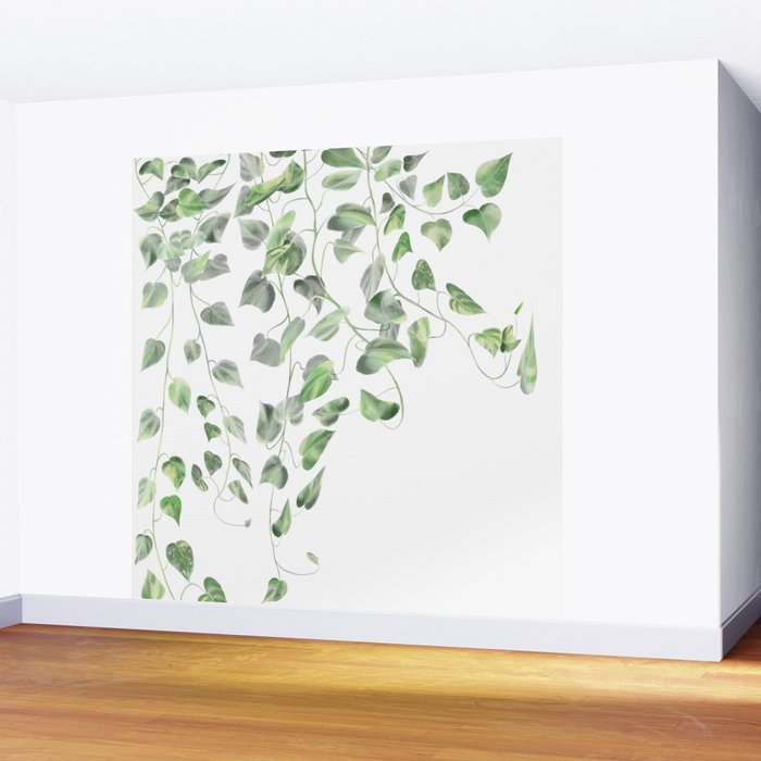 Golden Pothos - Ivy Wall Mural Gallery Image 2