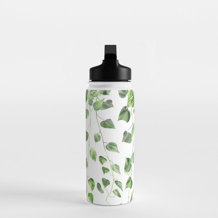 Golden Pothos - Ivy Water Bottle Gallery Image 3