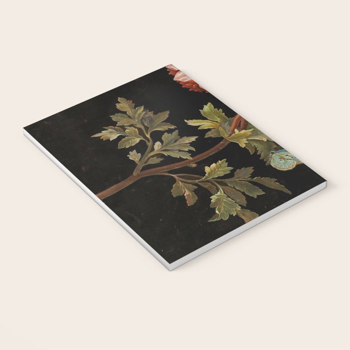 Peonies with a butterfly - Johann Christoph Bayer -1812- Antique Lifelike Botanical Nature Painting Notebook Gallery Image 3