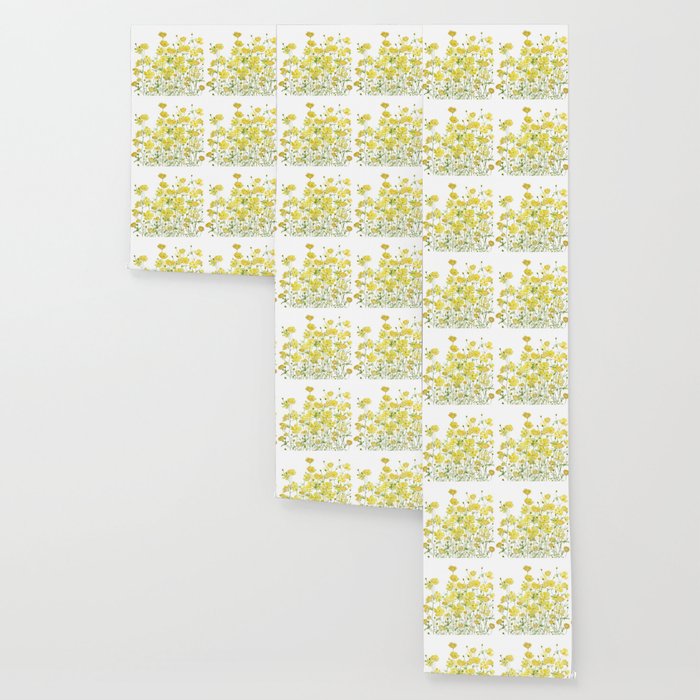 yellow buttercup flowers filed watercolor  Wallpaper Gallery Image 3