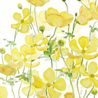 yellow buttercup flowers filed watercolor  Coffee Mug Gallery Image 2