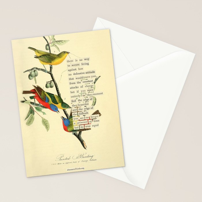 Painted Bunting from 'An Almanac of Birds - Divinations for Uncertain Days' (almanacofbirds.org) Stationery Card Gallery Image 2