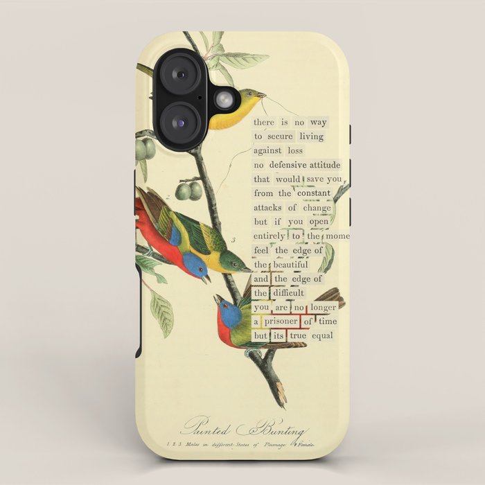 Painted Bunting from 'An Almanac of Birds - Divinations for Uncertain Days' (almanacofbirds.org) iPhone Case Gallery Image 1