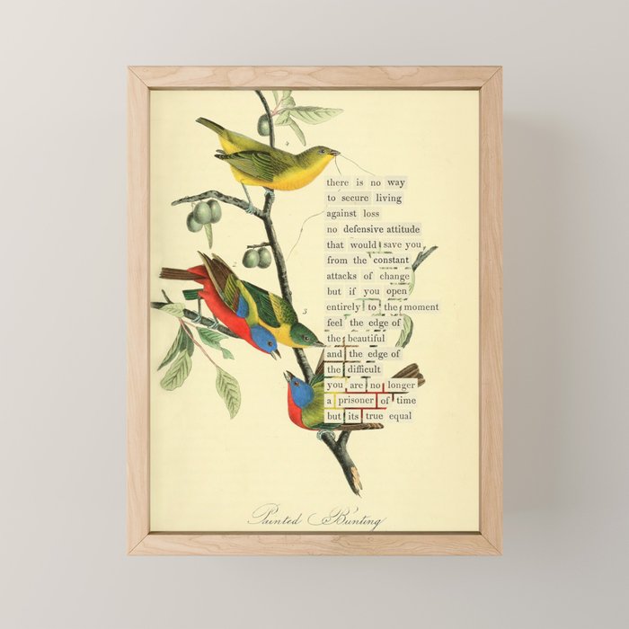 Painted Bunting from 'An Almanac of Birds - Divinations for Uncertain Days' (almanacofbirds.org) Mini Art Print Gallery Image 1