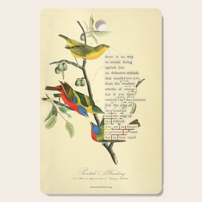 Painted Bunting from 'An Almanac of Birds - Divinations for Uncertain Days' (almanacofbirds.org) Cutting Board Gallery Image 1