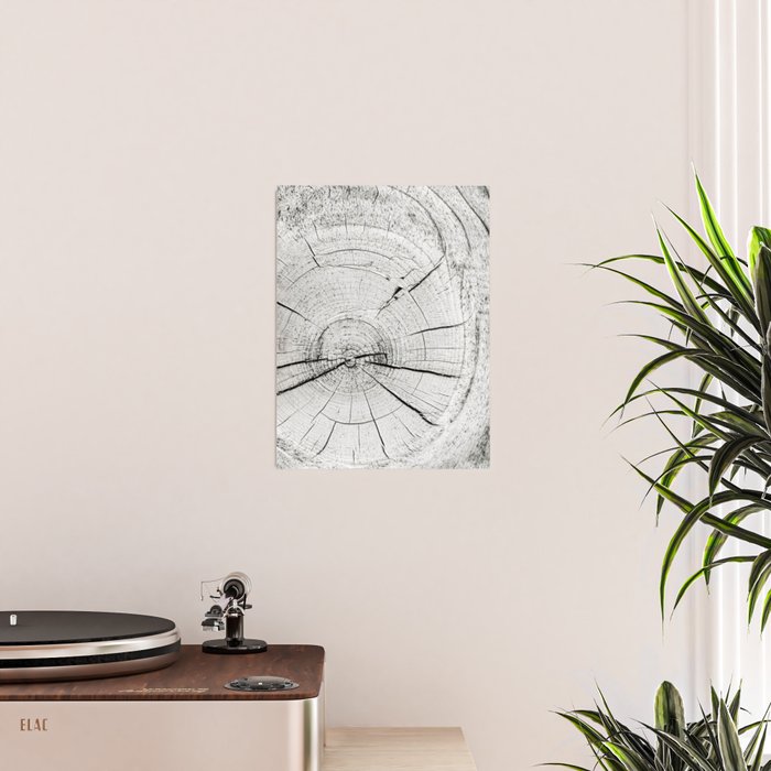 Knot Today Poster Gallery Image 2