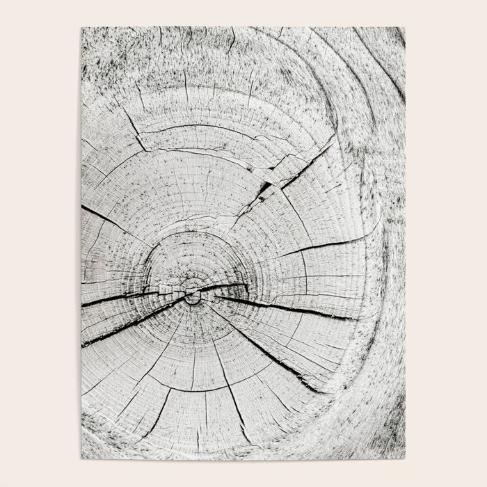 Knot Today Poster Gallery Image 4