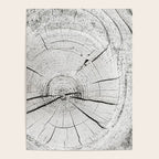 Knot Today Poster Gallery Image 4