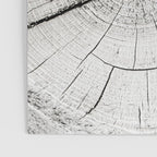 Knot Today Poster Gallery Image 3