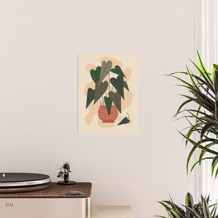 Hello Begonia Poster Gallery Image 2