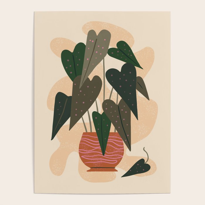 Hello Begonia Poster Gallery Image 4