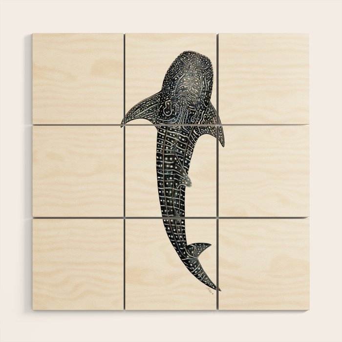 Whale shark for divers, shark lovers and fishermen Wood Wall Art Gallery Image 1