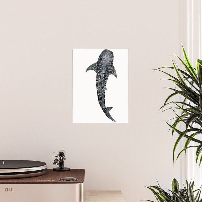 Whale shark for divers, shark lovers and fishermen Poster Gallery Image 2