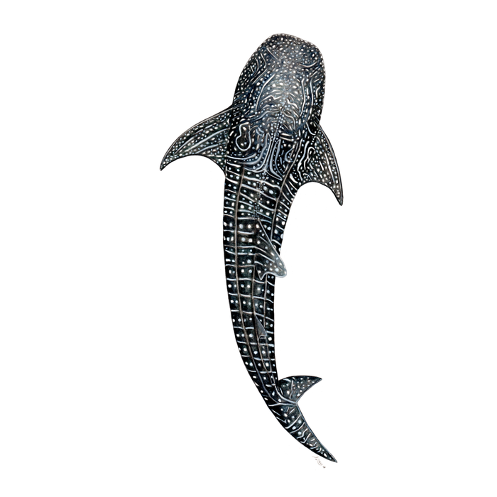Whale shark for divers, shark lovers and fishermen Coffee Mug Gallery Image 2