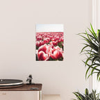 Tulip Field In Holland Floral Photo | Europe Travel Photography Red Flowers Spring Art Print Poster Gallery Image 2