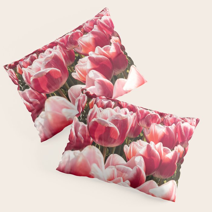 Tulip Field In Holland Floral Photo | Europe Travel Photography Red Flowers Spring Art Print Pillow Sham Gallery Image 3