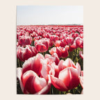 Tulip Field In Holland Floral Photo | Europe Travel Photography Red Flowers Spring Art Print Poster Gallery Image 4