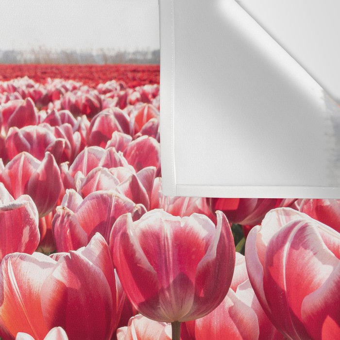 Tulip Field In Holland Floral Photo | Europe Travel Photography Red Flowers Spring Art Print Wall Tapestry Gallery Image 3
