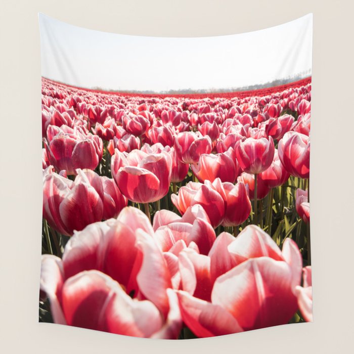 Tulip Field In Holland Floral Photo | Europe Travel Photography Red Flowers Spring Art Print Wall Tapestry Gallery Image 1