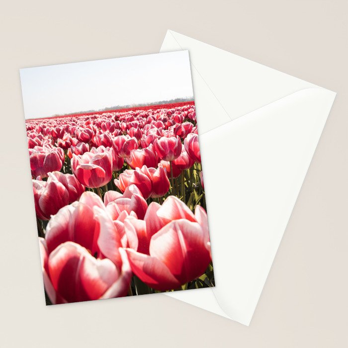 Tulip Field In Holland Floral Photo | Europe Travel Photography Red Flowers Spring Art Print Stationery Card Gallery Image 2