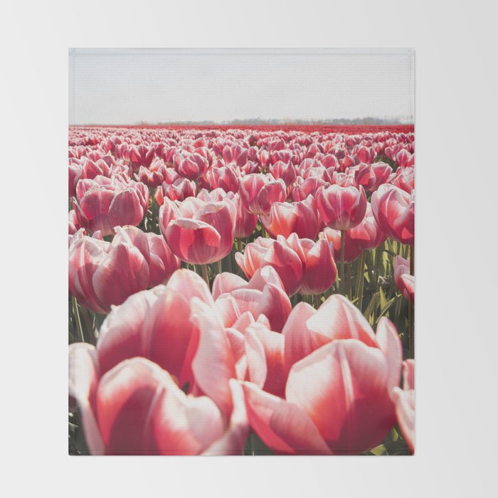 Tulip Field In Holland Floral Photo | Europe Travel Photography Red Flowers Spring Art Print Throw Blanket Gallery Image 2