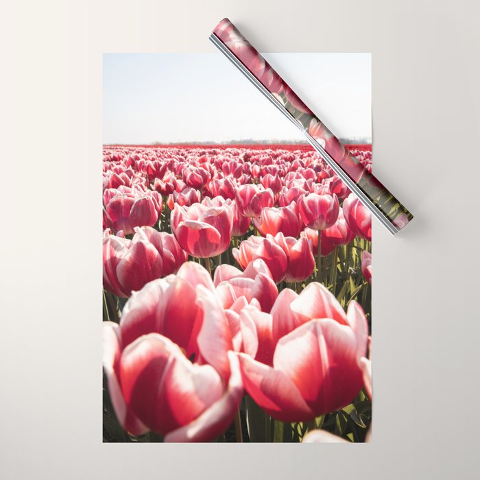 Tulip Field In Holland Floral Photo | Europe Travel Photography Red Flowers Spring Art Print Wrapping Paper Gallery Image 1