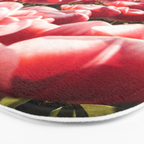 Tulip Field In Holland Floral Photo | Europe Travel Photography Red Flowers Spring Art Print Bath Mat Gallery Image 3