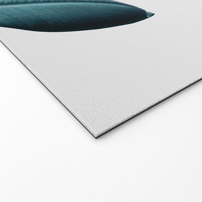 Ficus Welcome Mat Gallery Image 2