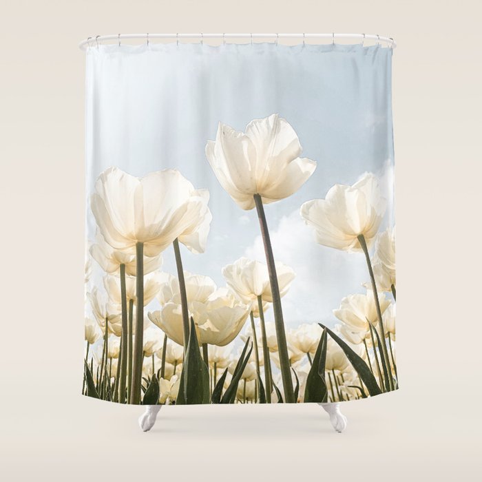 White Tulips In Spring In Holland Photo | Dutch Flowers Art Print |  Europe Travel Photography Shower Curtain Gallery Image 1