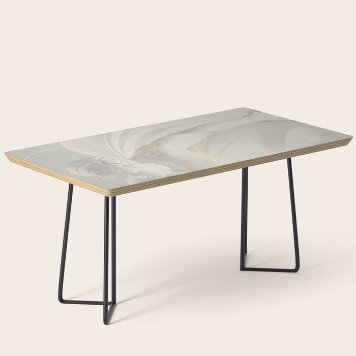 FRDM is Here Now Coffee Table Gallery Image 1