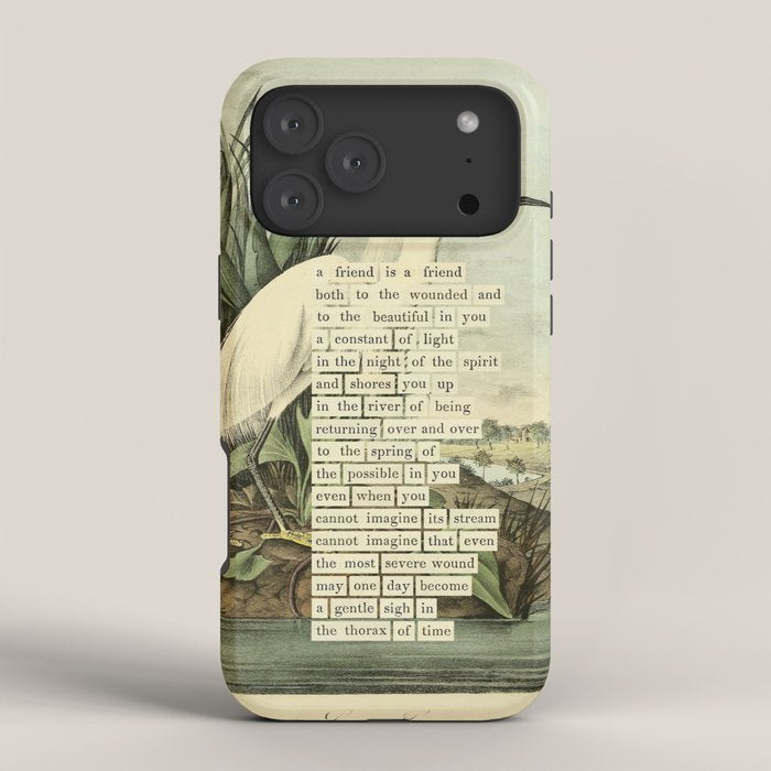 Snowy Heron Divination from # An Almanac of Birds # Divinations for Uncertain Days iPhone Case Gallery Image 4