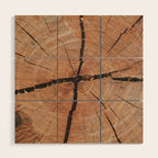 Tree Rings Rustic Cabin Lodge Raw Wood Wood Wall Art Gallery Image 1