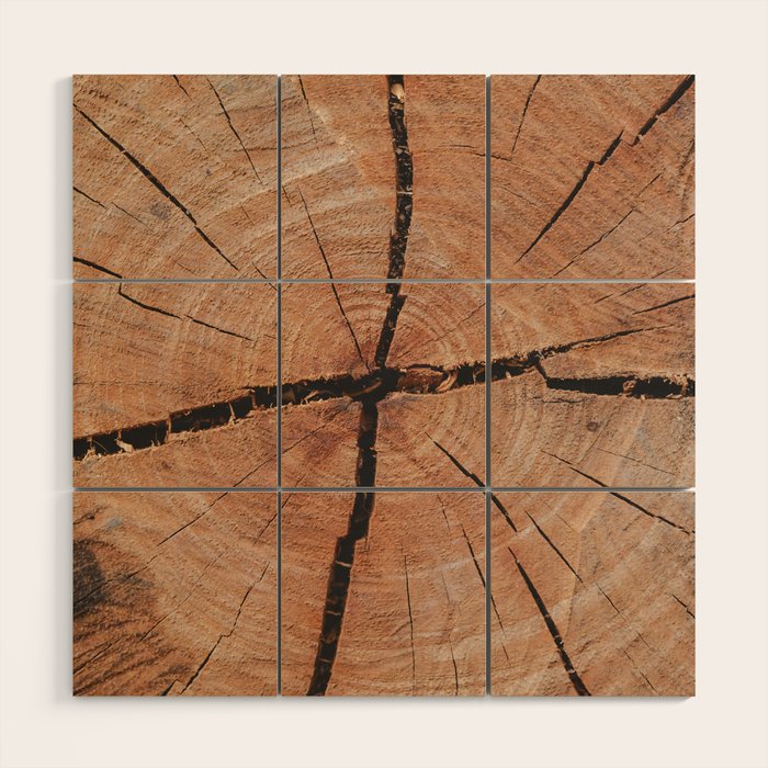 Tree Rings Rustic Cabin Lodge Raw Wood Wood Wall Art Gallery Image 1