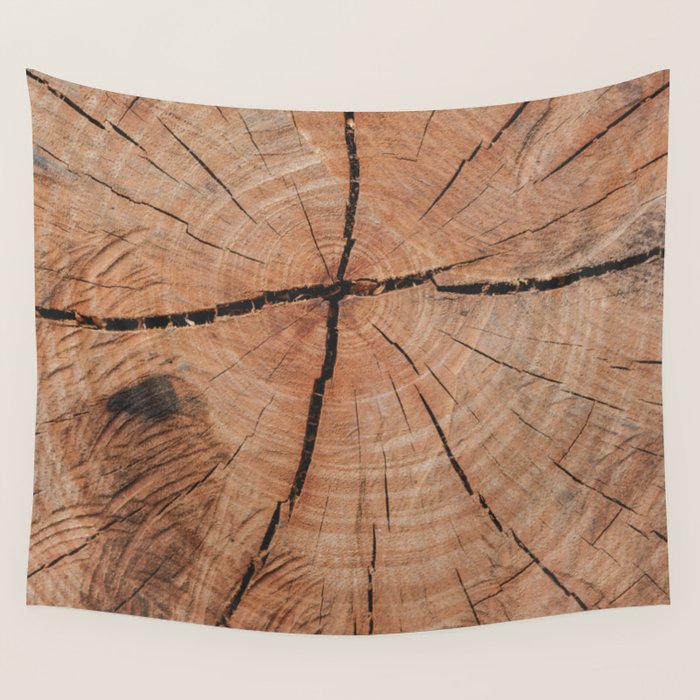 Tree Rings Rustic Cabin Lodge Raw Wood Wall Tapestry Gallery Image 1