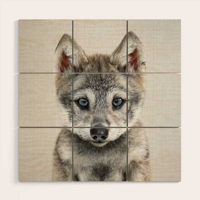 Baby Wolf - Colorful Wood Wall Art Gallery Image 1