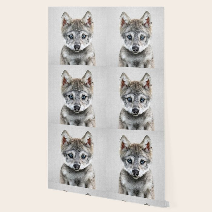 Baby Wolf - Colorful Wallpaper Gallery Image 2