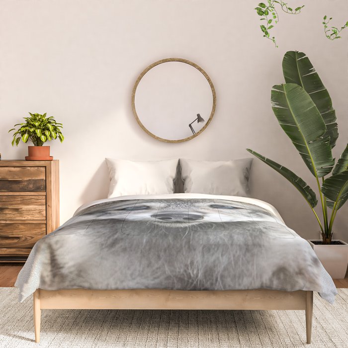 Baby Wolf - Colorful Comforter Gallery Image 3