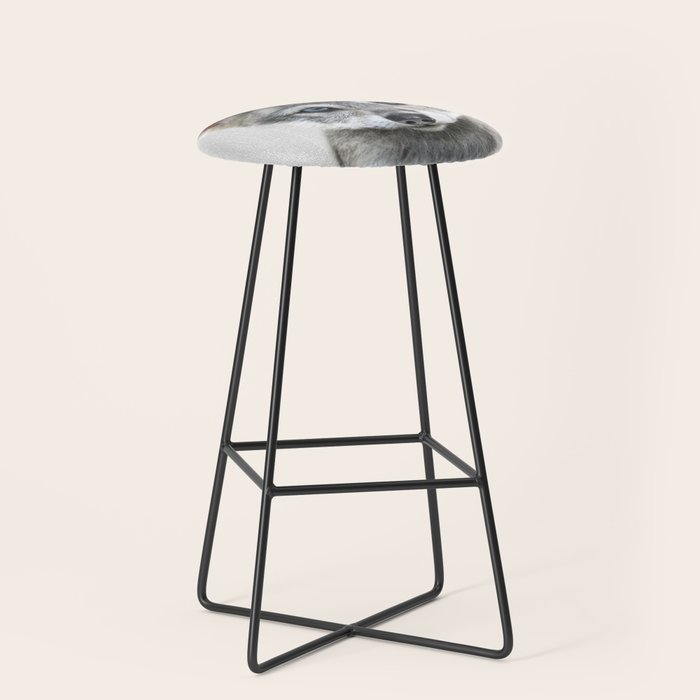 Baby Wolf - Colorful Stool Gallery Image 1