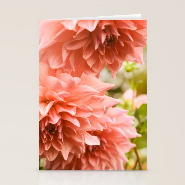 Collaboration  Modern Botanical Dahlia Flower Photograph -pink terracotta floral Stationery Card Gallery Image 1