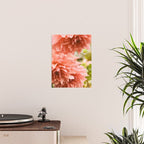 Collaboration  Modern Botanical Dahlia Flower Photograph -pink terracotta floral Poster Gallery Image 2