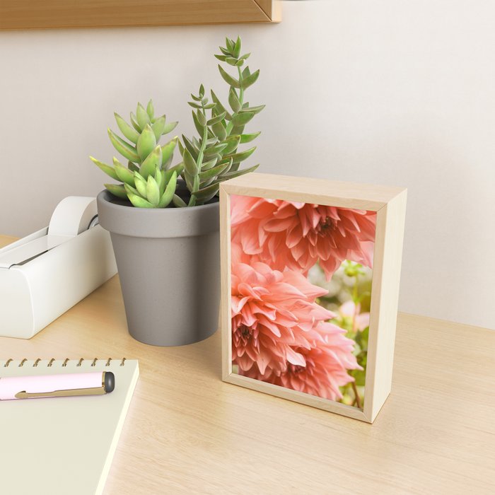 Collaboration  Modern Botanical Dahlia Flower Photograph -pink terracotta floral Mini Art Print Gallery Image 2