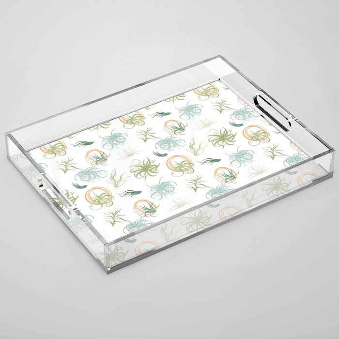 Air Plants Acrylic Tray Gallery Image 1