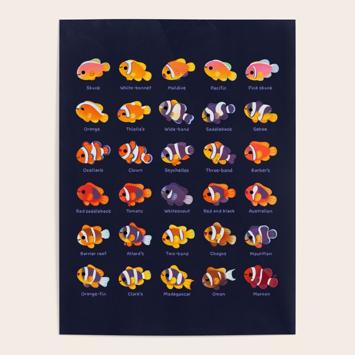 Anemone fish Poster Gallery Image 4