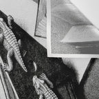 MC Escher Reptiles 1943 Artwork for Posters Prints Tshirts Men Women Kids Wall Tapestry Gallery Image 3