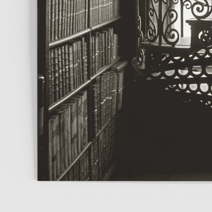 Trinity College, Dublin, Ireland, iron spiral stairs in Library College Long Room black and white photograph Poster Gallery Image 3